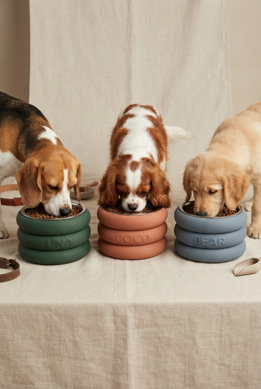 BOWL "COCO"
